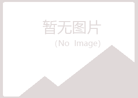 上海宝山白山化学有限公司